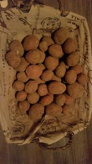 Aardappelen aanbieding